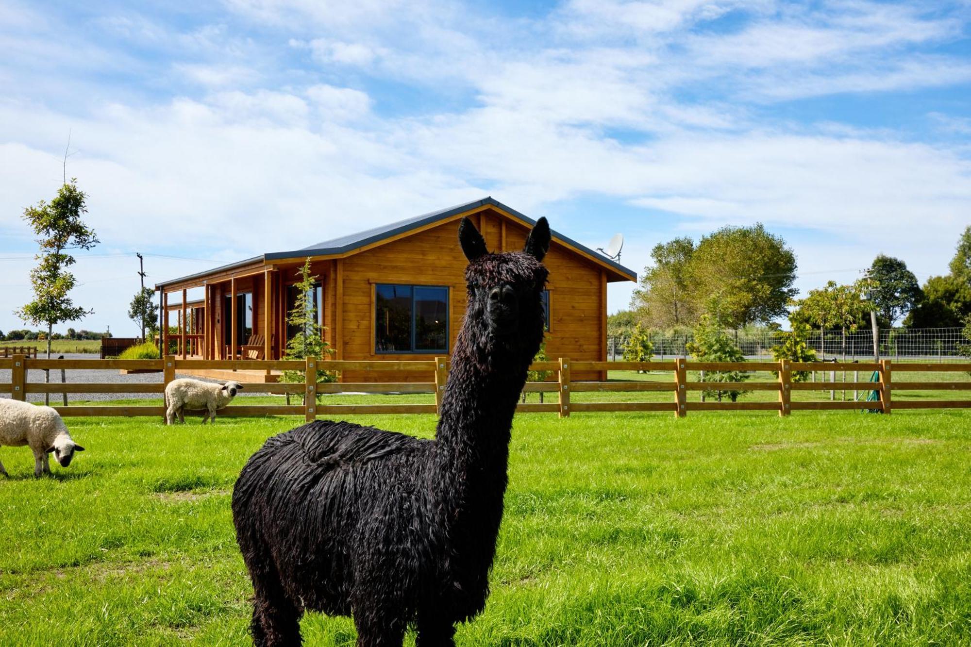 Deerbrooke Kaikoura Chalets - Chalet 2 Esterno foto